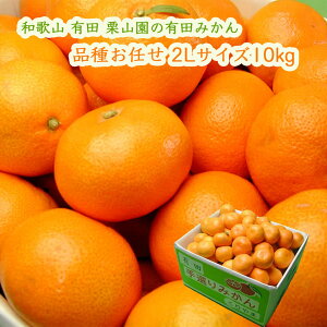 IR̗Lc݂ i킨C 2LTCY 10kg (1000~) {쑁 Ñ R 1ɕi͍܂