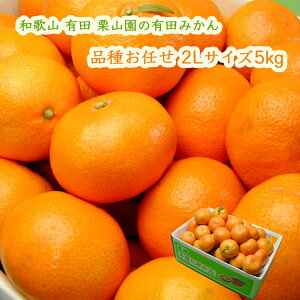 IR̗Lc݂ i킨C 2LTCY 5kg (1000~) {쑁 Ñ R 1ɕi͍܂