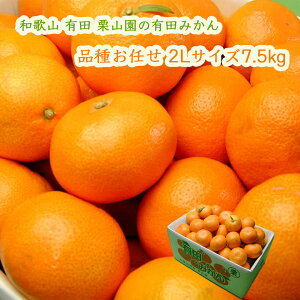 IR̗Lc݂ i킨C 2LTCY 7.5kg (1000~) {쑁 Ñ R 1ɕi͍܂