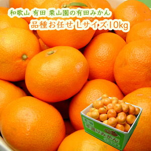 IR̗Lc݂ i킨C LTCY 10kg (1000~) {쑁 Ñ R 1ɕi͍܂