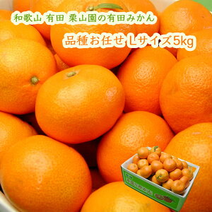 IR̗Lc݂ i킨C LTCY 5kg (1000~) {쑁 Ñ R 1ɕi͍܂