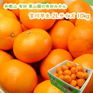 IR̗Lc݂ {쑁 2LTCY 10kg (1000~) ͂11{ ÂĎ_ oX̂Ƃꂽ݂ Ε ΕɂE
