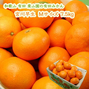 IR̗Lc݂ {쑁 7.5kg MTCY (1000~) ͂11{ ÂĎ_ oX̂Ƃꂽ݂ Ε ΕɂE