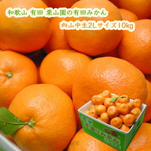 IR̗Lc݂ R 2LTCY 10kg (1000~) ͂12 Ε 