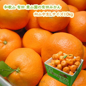 IR̗Lc݂ R LTCY10kg (1000~) ͂12 Ε 