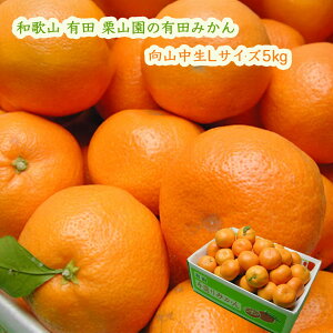 IR̗Lc݂ R LTCY5kg (1000~) ͂12 Ε 