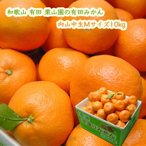 IR̗Lc݂ R MTCY10kg (1000~) ͂12 Ε 