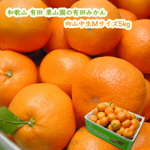 IR̗Lc݂ R MTCY5kg (1000~) ͂12 Ε 