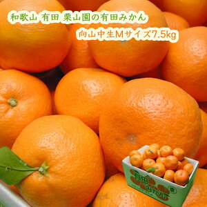 IR̗Lc݂ R MTCY7.5kg (1000~) ͂12 Ε 