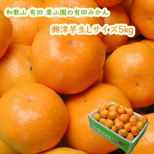 IR̗Lc݂ Ñ LTCY 5kg  (1000~) ZāAÖƎ_̃oXDꂽ݂ ΕɂE