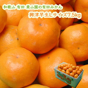 IR̗Lc݂ Ñ LTCY 7.5kg  (1000~) ZāAÖƎ_̃oXDꂽ݂ ΕɂE