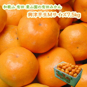 IR̗Lc݂ Ñ MTCY 7.5kg  (1000~) ZāAÖƎ_̃oXDꂽ݂ ΕɂE