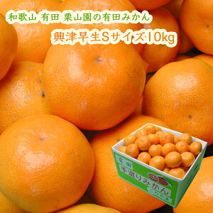 IR̗Lc݂ Ñ STCY 10kg  (1000~) ZāAÖƎ_̃oXDꂽ݂ ΕɂE