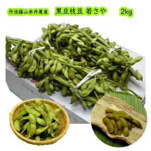Ԉ䂳̒Og} Ⴓ 2kg (/1000~) }t } OgR _ |݂Ղ ͂10{