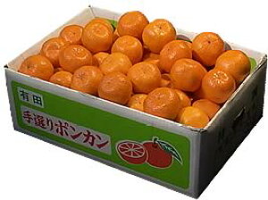 ポンカン みかんの人気商品 通販 価格比較 価格 Com ポンカン みかんの人気商品 通販 価格比較 価格 Com