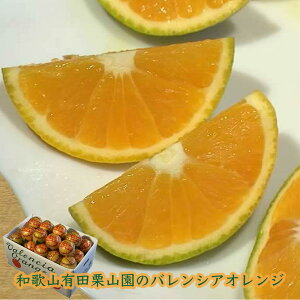 i摜