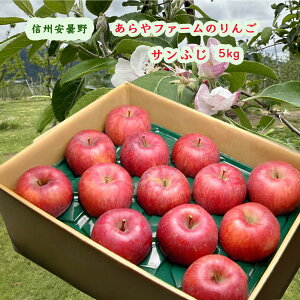 MB ܖ t@[̂ Tӂ 5kg (kCE1000~) _ _ w엿  Ε 