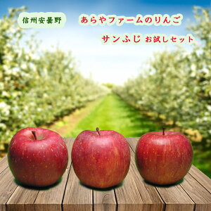 MB ܖ t@[̂ Tӂ 3Zbg (kCE1000~) _ _ w엿  Ε 