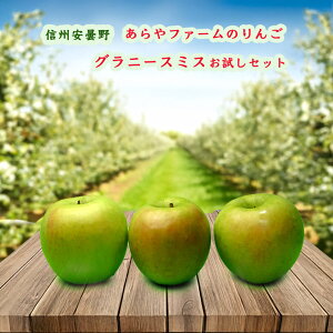 MB ܖ t@[̂ Oj[EX~X 3Zbg (kCA1000~) TNTNH _ َqɂE