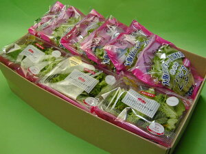 ��������w�A���H��o�^�r�A���^�X(��70g)�@6�i��420g�j���[�t�~�b�N�X�T���_�X�p�C�V�[(��35g)6�i��210g�j����y���������i�k�C���A�����1000�~�j�z