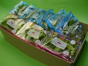 wAHt^X(70g)@6i420gj[t~bNXT_XpCV[(35g)6i210gjyikCA1000~jz