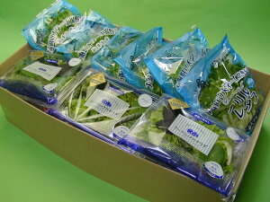 wAHt^X(70g)@6i420gj[t~bNXT_}Ch(35g)6i210gjyikCA1000~jz