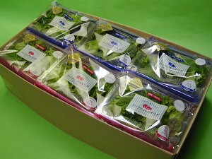 wAHꃊ[t~bNXT_}Ch(35g)6胊[t~bNXT_XpCV[(35g)6yikCA1000~jz