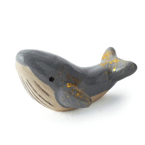 gy@2025NVti@[u]@yikCE1000~)z