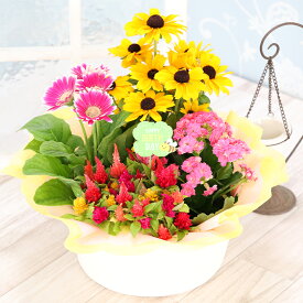 誕生日 ギフト 花 プレゼント 鉢植え 花 寄せ鉢 4種の花で作る季節の花かご 結婚記念日 退職祝い お祝い 敬老の日