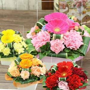 y①֑Ήza  Mtg t[AWg v[g LO LO j j ybg