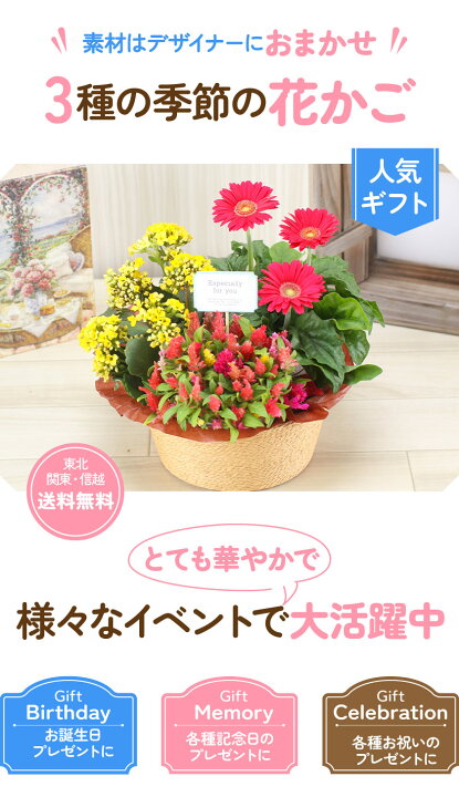 楽天市場 誕生日 花 ギフト 鉢植え 3種の花で作る季節の花かご ハピネス 敬老の日 花むすび 楽天市場店