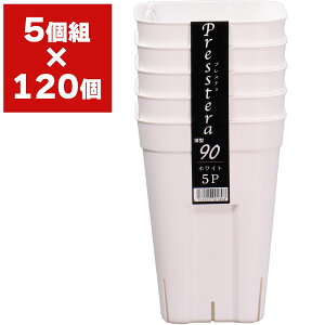 vXe [90^ 5g AbvEFA[ c|bg ||bg c |bg   Xbg ϗtA  A  Xbg