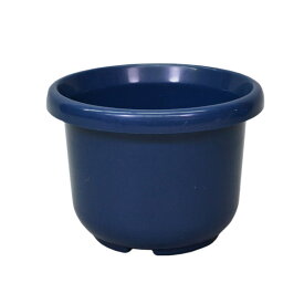 輪鉢 F型 4号 ブルー アップルウェアー 鉢
