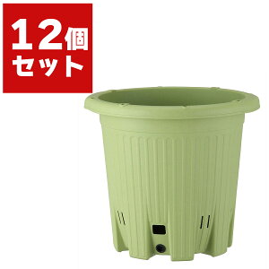 yX؉ ی^ T_O[ ×12 AbvEFA[  v^[  Aؔ Xbg K[fjO  v^[  ؉v^[