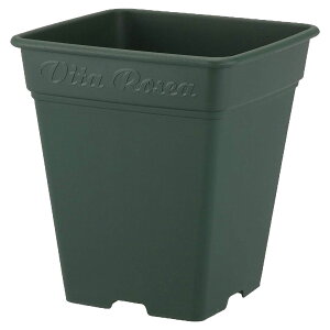 [AXNGA 260^ 330^ 390^ uE O[ AbvEFA[ 