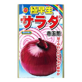 楽天市場 赤たまねぎ 種の通販 楽天市場 赤たまねぎ 種の通販