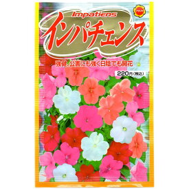 インパチェンス アタリヤ農園 インパチェンス 種 花の種 アフリカホウセンカ 種 花 種子 花種 M