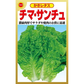 チマ・サンチュ アタリヤ農園 かきレタス 葉をかき 肉等巻いて食べると美味 野菜種 M