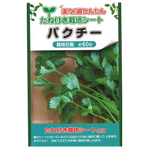 パクチー ハーブ 種の人気商品 通販 価格比較 価格 Com