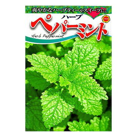 楽天市場 ミント 種の通販