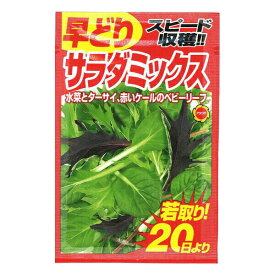 楽天市場 野菜 種 サラダミックスの通販