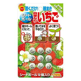 楽天市場 いちご 四季なり 種の通販