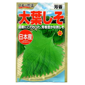 大葉しそ アタリヤ農園 日本産 日本の野菜 芳香 国産にこだわった 方向豊かな青しそ 野菜種 M