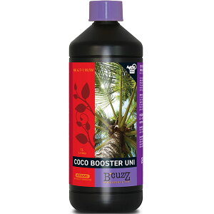 엿 B'CUZZ COCO BOOSTER UNI (r[JY RR u[X^[ j) 1L ATAMI 엿  엿 ʎ 엿 Ɩp 엿  t  t̔엿 A i