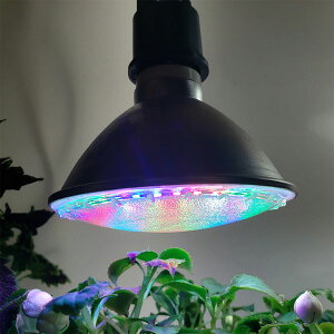 LED PAR-LIGHT E26������ 13w ��ド�C�g LED���C�g