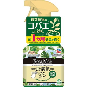 EEۍ BotaNice A̒EaC΍ 500ml A[X A[XK[f E ђ E AJVqg E A Q 쏜 A aC ΍