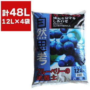 |{y u[x[̔|{y 12L ×4 FOREX y ԋʓy s[gX |py u[x[̓y ƒ؉ y |pi u[x[ y | ʕ ؉