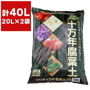 kCY ty n \Nty 20L ×2 FOREX y ty | |py nty s[gX ԋʓy  y yǍ ͔ VR t{_ t~_