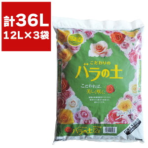 |{y o ̃o̓y 12L ×3 FOREX o y s[gX o̓y |py Ԃ̓y |pi KN̓y o̔|{y ͔ KN  |