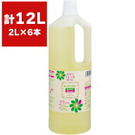 キープフラワー 2L ×6本 フジ日本 切花延命剤 バラ苗 切り花 延命剤 菊 苗 バラ 活力延命剤 切花 活力剤…